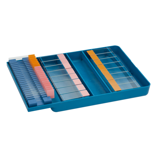 Staining Tray with Slide Holder-pip